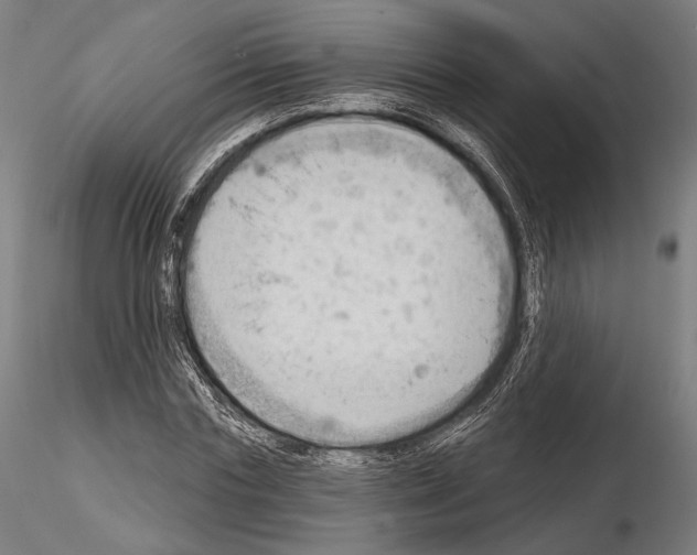 X0000114630827200912011023