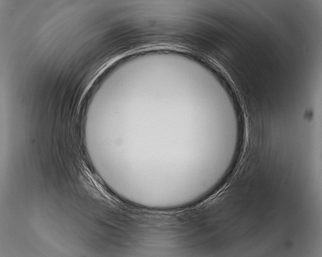 X0000114630828200912011023