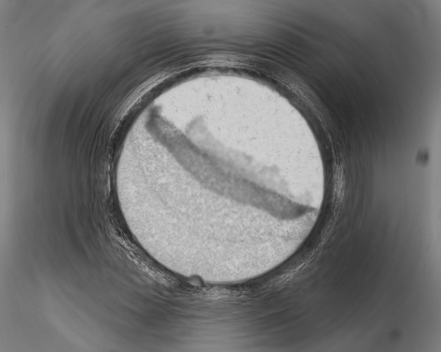 X0000114630829200912011023