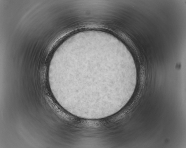 X0000114630831200912011023