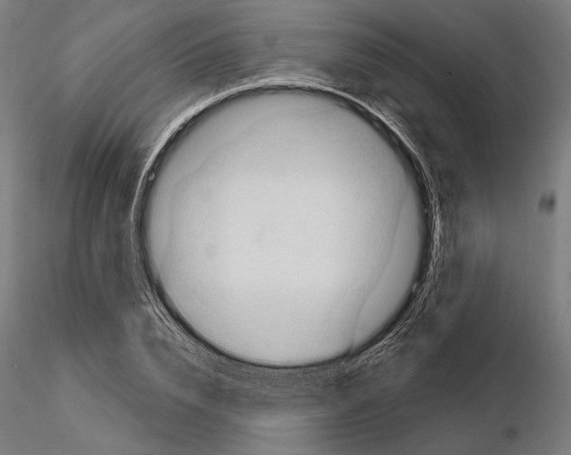 X0000114630832200912011023