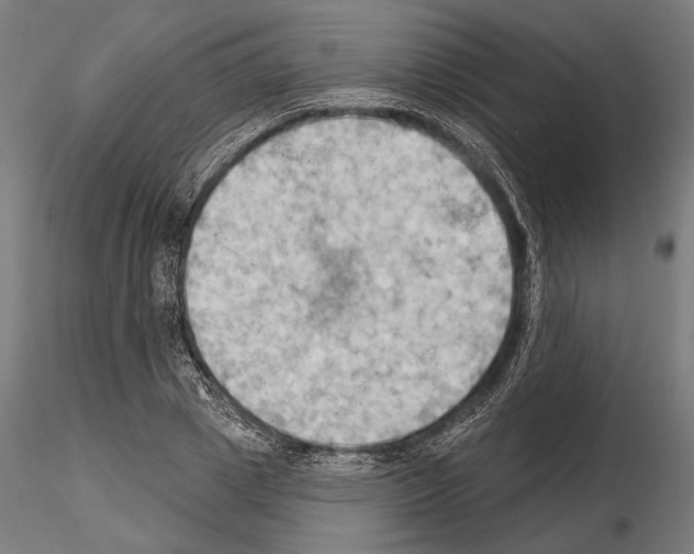 X0000114630833200912011023