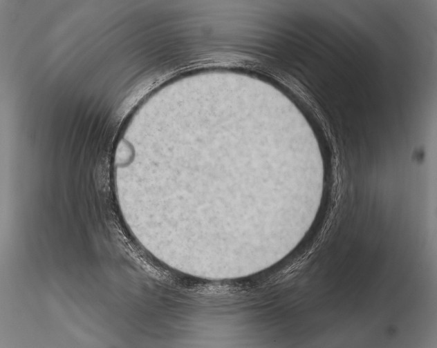 X0000114630834200912011023