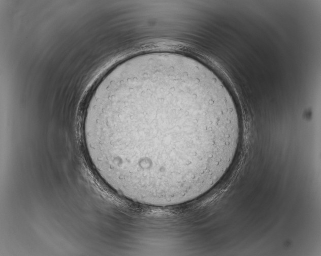 X0000114630835200912011023