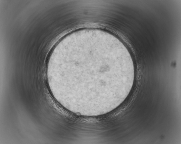 X0000114630837200912011023