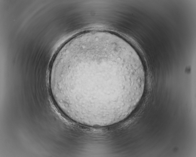 X0000114630839200912011023