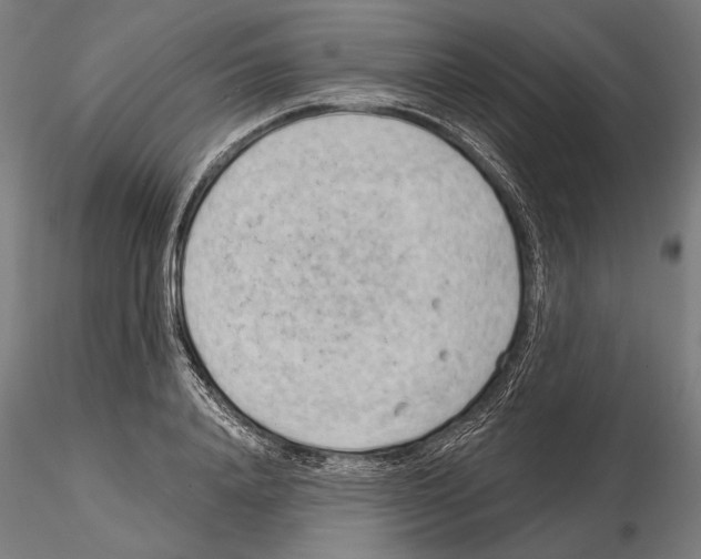 X0000114630840200912011023