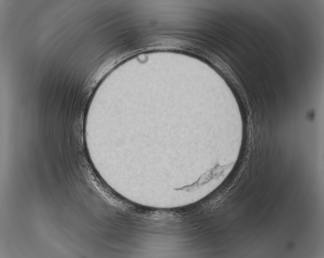 X0000114630842200912011023