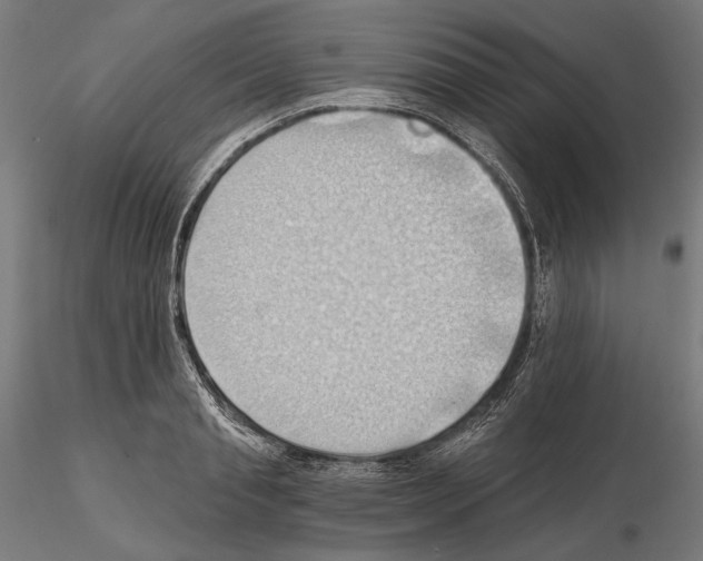 X0000114630845200912011023