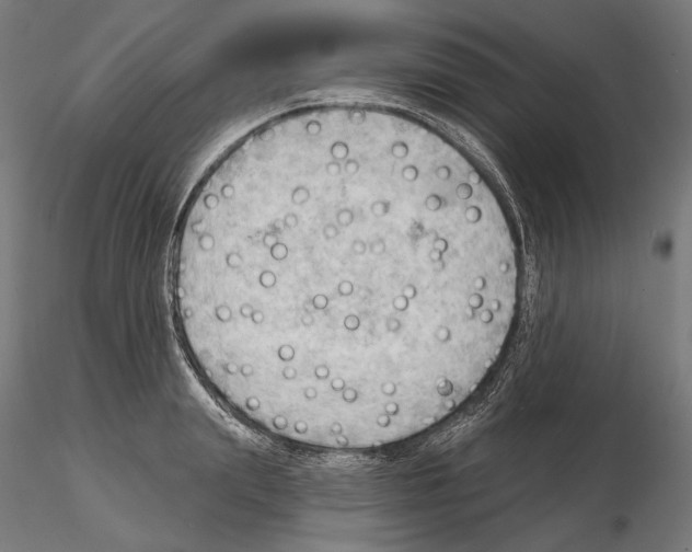 X0000114630847200912011023