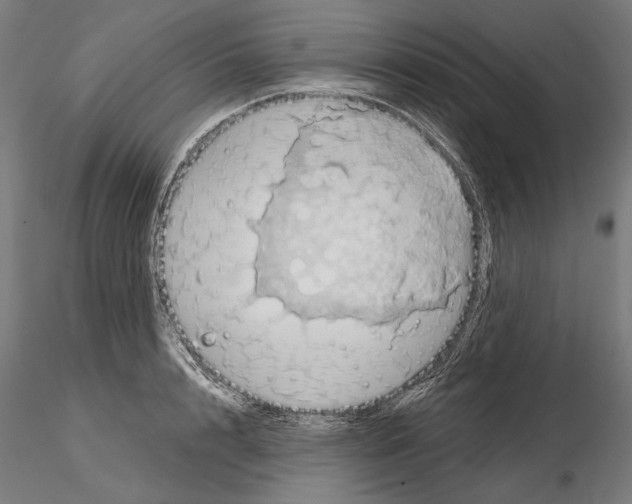 X0000114630848200912011023