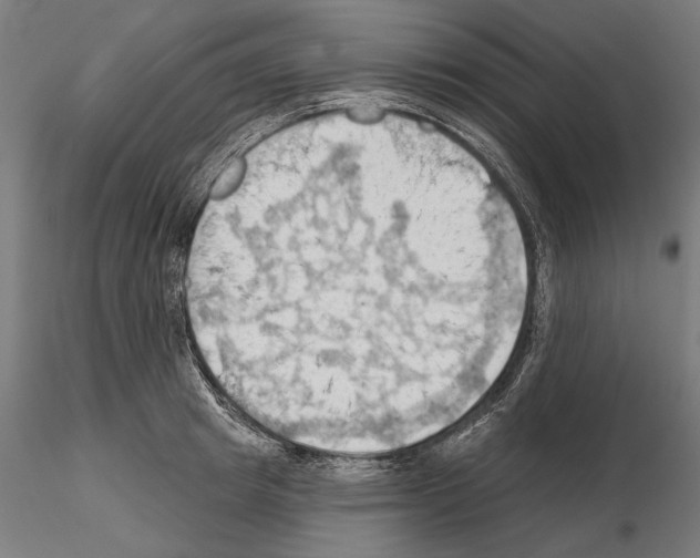 X0000114630849200912011023