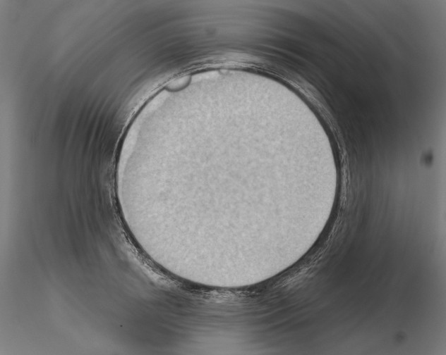 X0000114630850200912011023