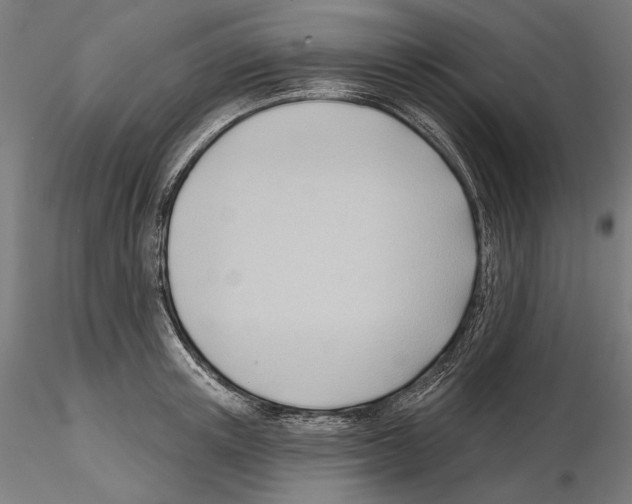 X0000114630851200912011023