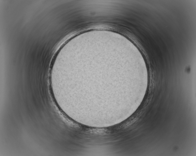 X0000114630853200912011023