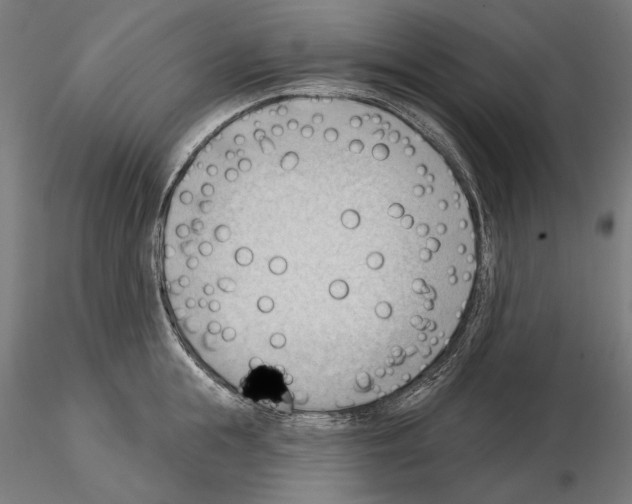 X0000114630855200912011023