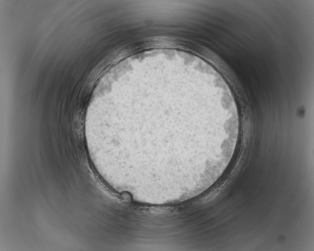 X0000114630857200912011023