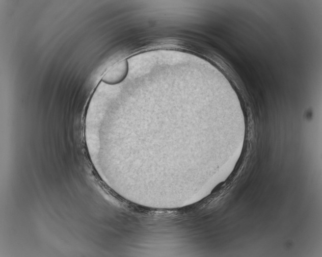 X0000114630858200912011023