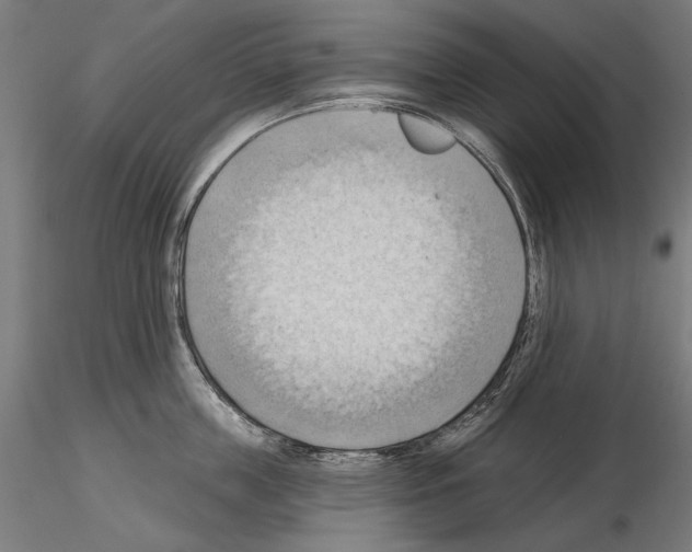 X0000114630859200912011023