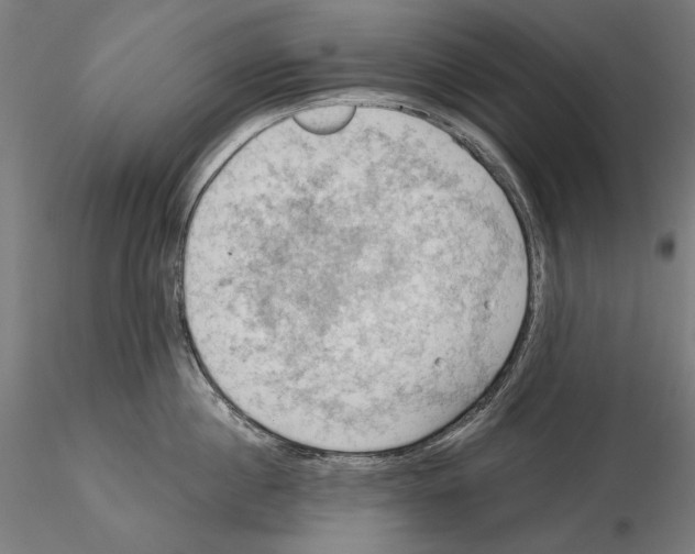 X0000114630860200912011023