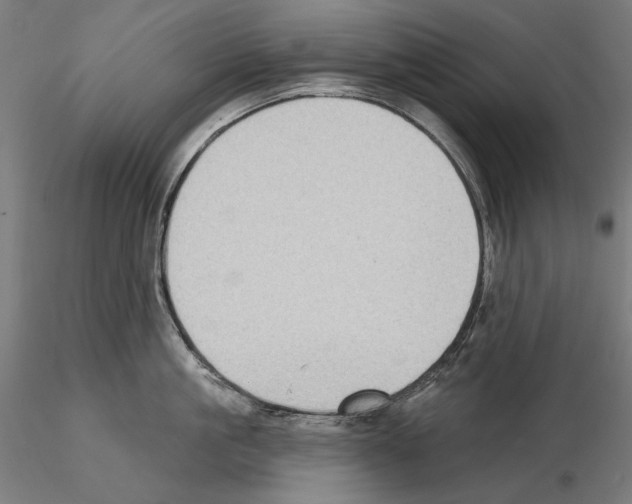 X0000114630861200912011023