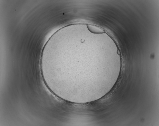 X0000114630863200912011023