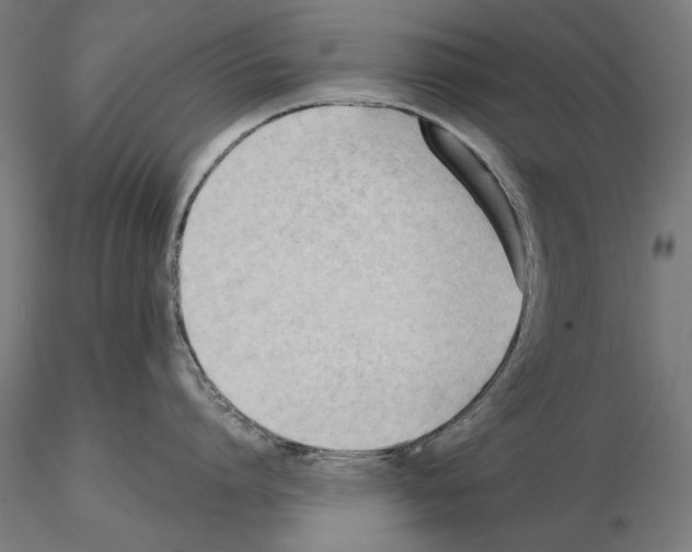 X0000114630864200912011023