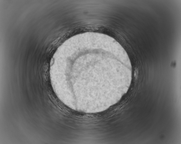 X0000114630867200912011022