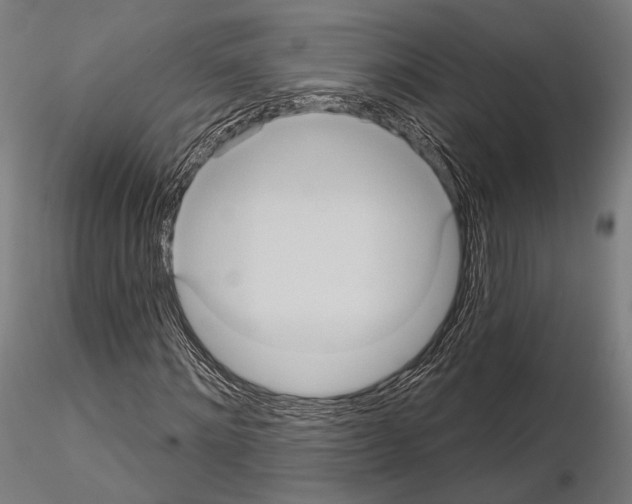 X0000114630868200912011022