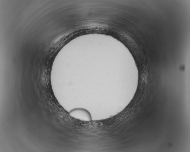 X0000114630869200912011022