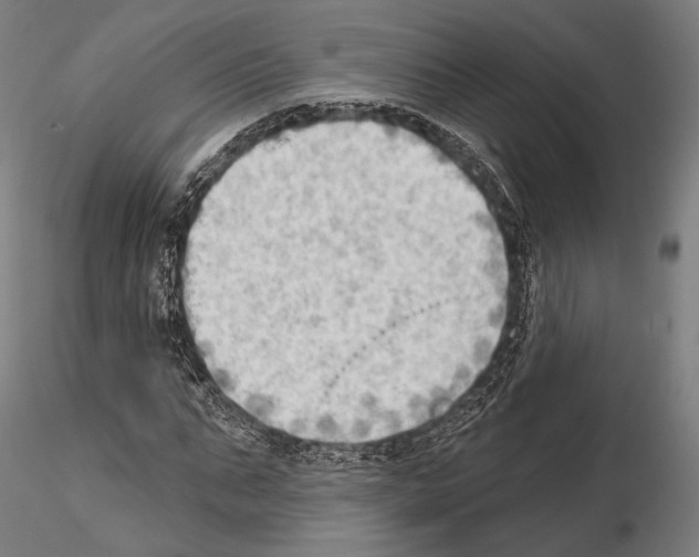 X0000114630871200912011022