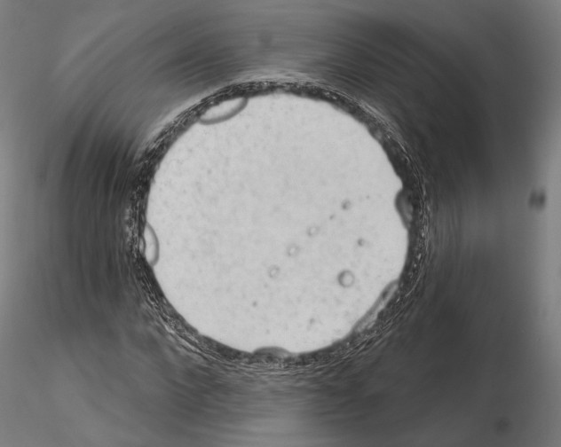 X0000114630872200912011022