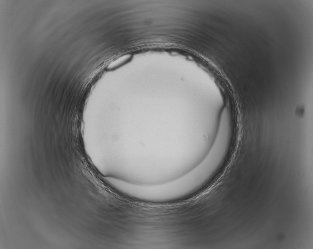 X0000114630873200912011022