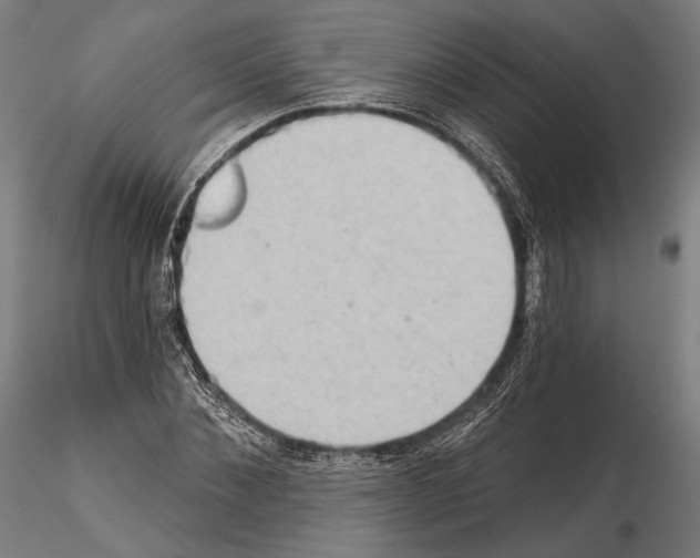 X0000114630876200912011022