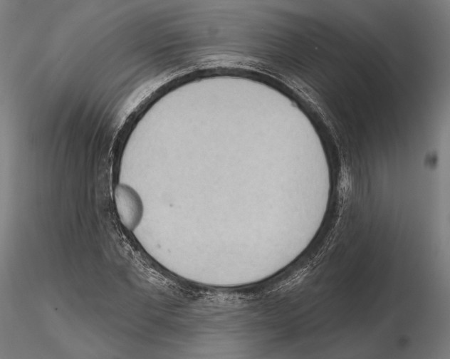 X0000114630877200912011022