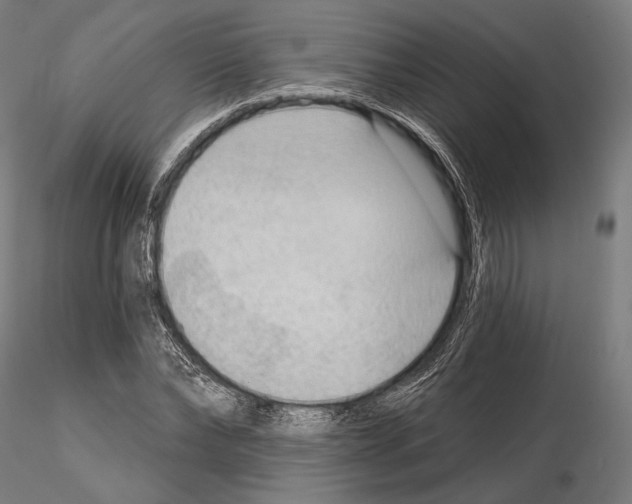 X0000114630878200912011022