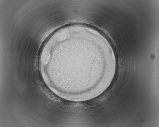 X0000114630879200912011022