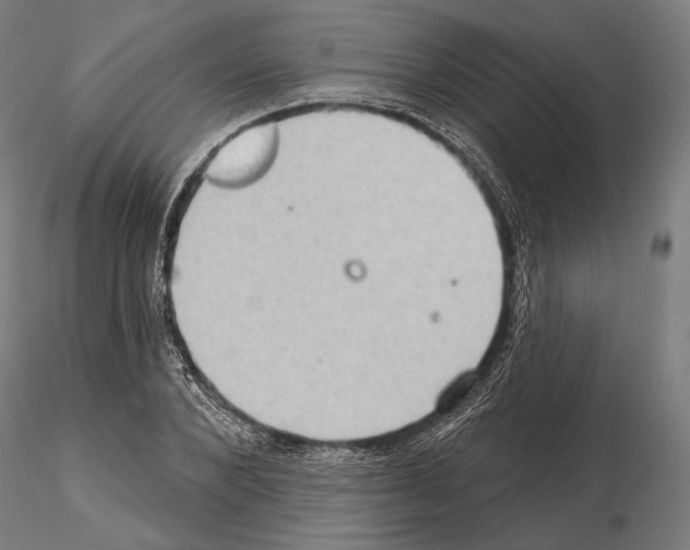 X0000114630880200912011022