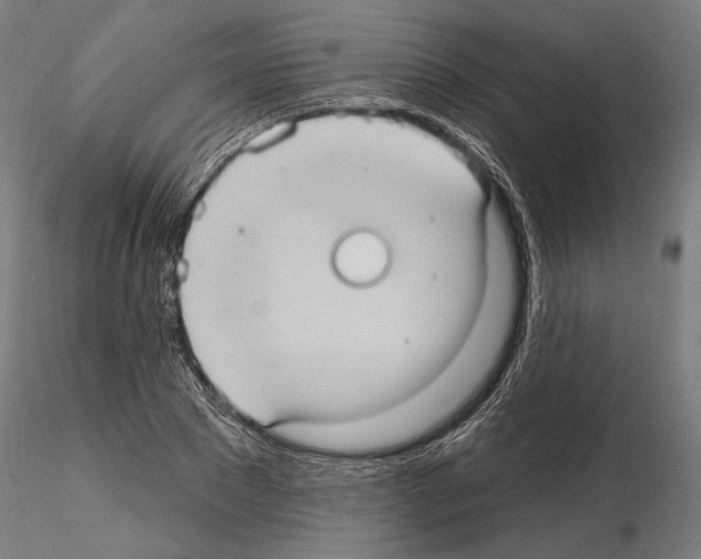 X0000114630881200912011022