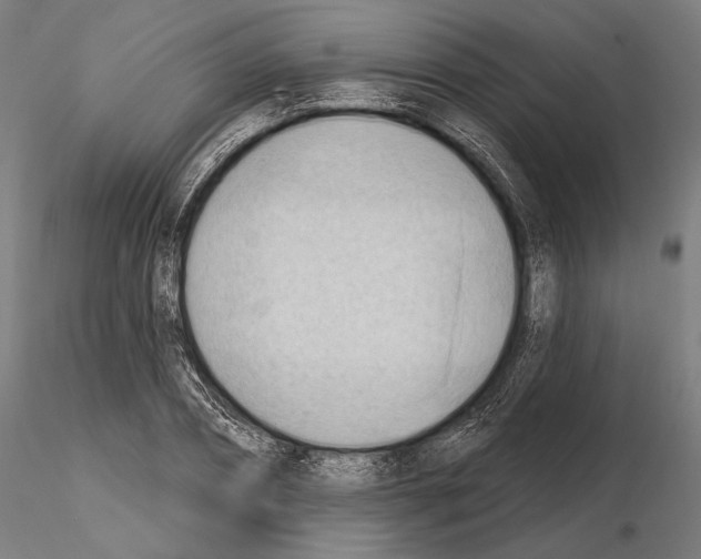 X0000114630882200912011022