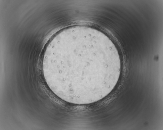 X0000114630883200912011022