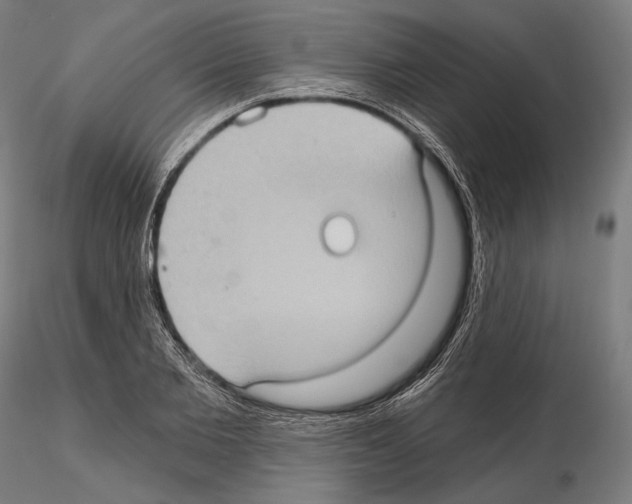 X0000114630885200912011022