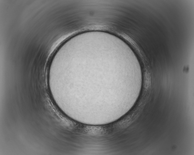 X0000114630886200912011022