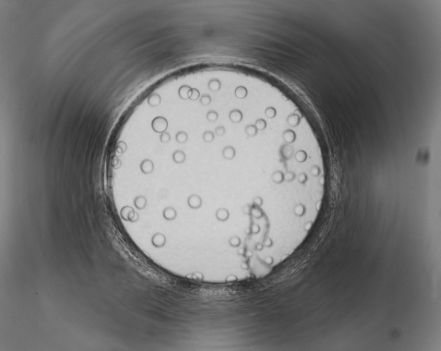 X0000114630887200912011022