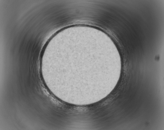 X0000114630888200912011022