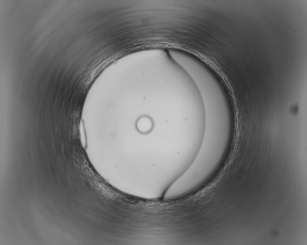 X0000114630889200912011022