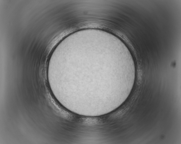 X0000114630890200912011022