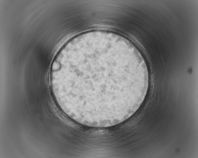 X0000114630891200912011022