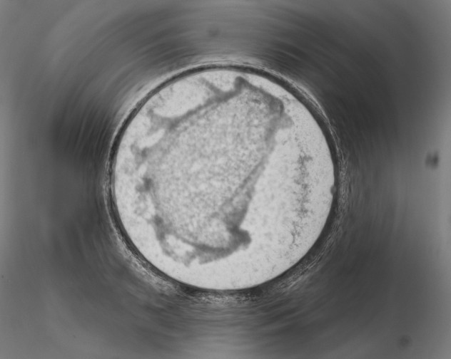 X0000114630895200912011022