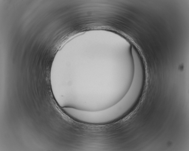 X0000114630897200912011022